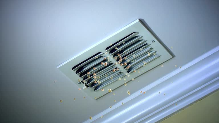 Best Ventilation Cleaning Services  in Bardonia, NY
